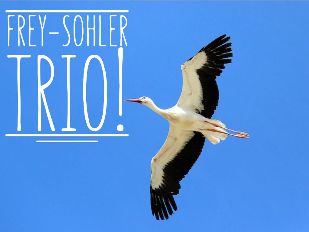 Frey-Sohler Trio!