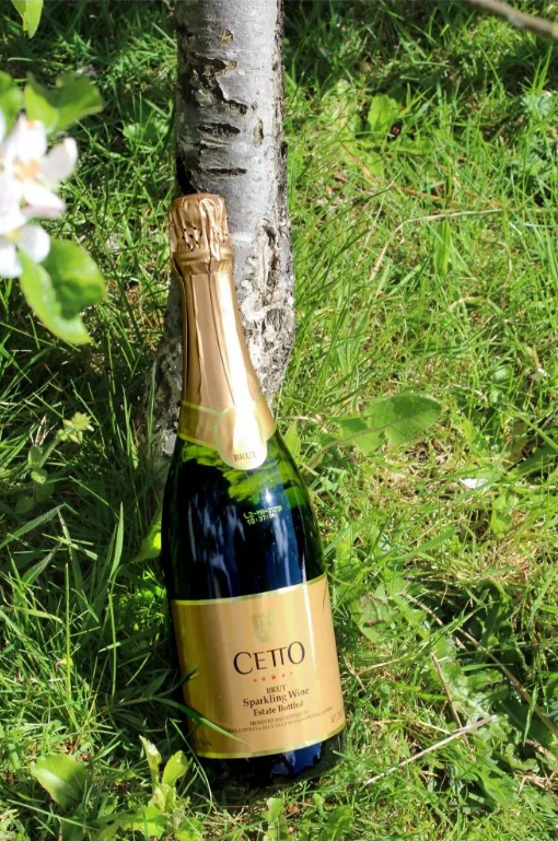 NV L.A. Cetto Brut